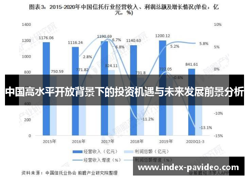 中国高水平开放背景下的投资机遇与未来发展前景分析
