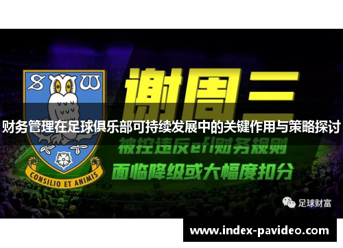 财务管理在足球俱乐部可持续发展中的关键作用与策略探讨 财务管理在足球俱乐部可持续发展中的关键作用与策略探讨