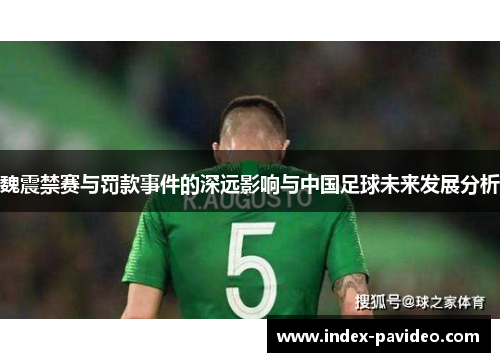 魏震禁赛与罚款事件的深远影响与中国足球未来发展分析 魏震禁赛与罚款事件的深远影响与中国足球未来发展分析