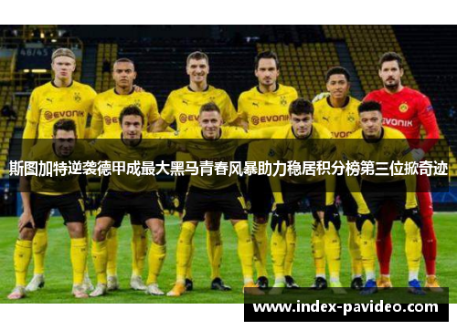 斯图加特逆袭德甲成最大黑马青春风暴助力稳居积分榜第三位掀奇迹