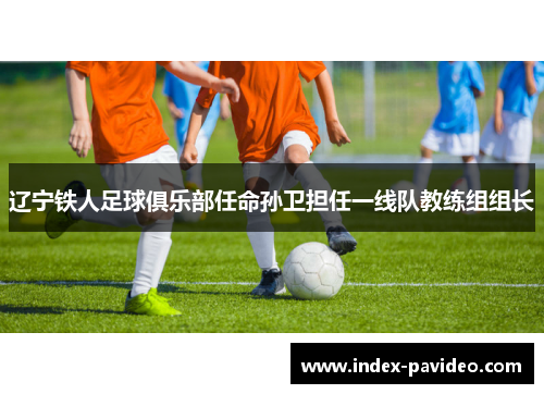 辽宁铁人足球俱乐部任命孙卫担任一线队教练组组长 辽宁铁人足球俱乐部任命孙卫担任一线队教练组组长
